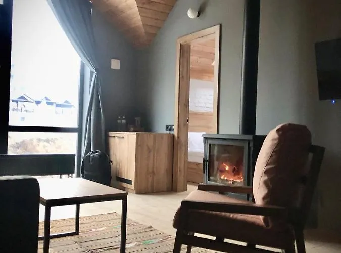 酒店 Baza Smart 布克维